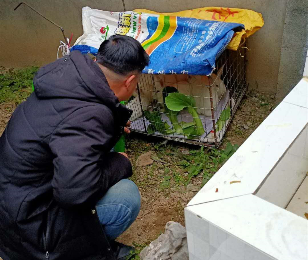 1582790909774034191.jpg 微信图片_20200227160355.jpg